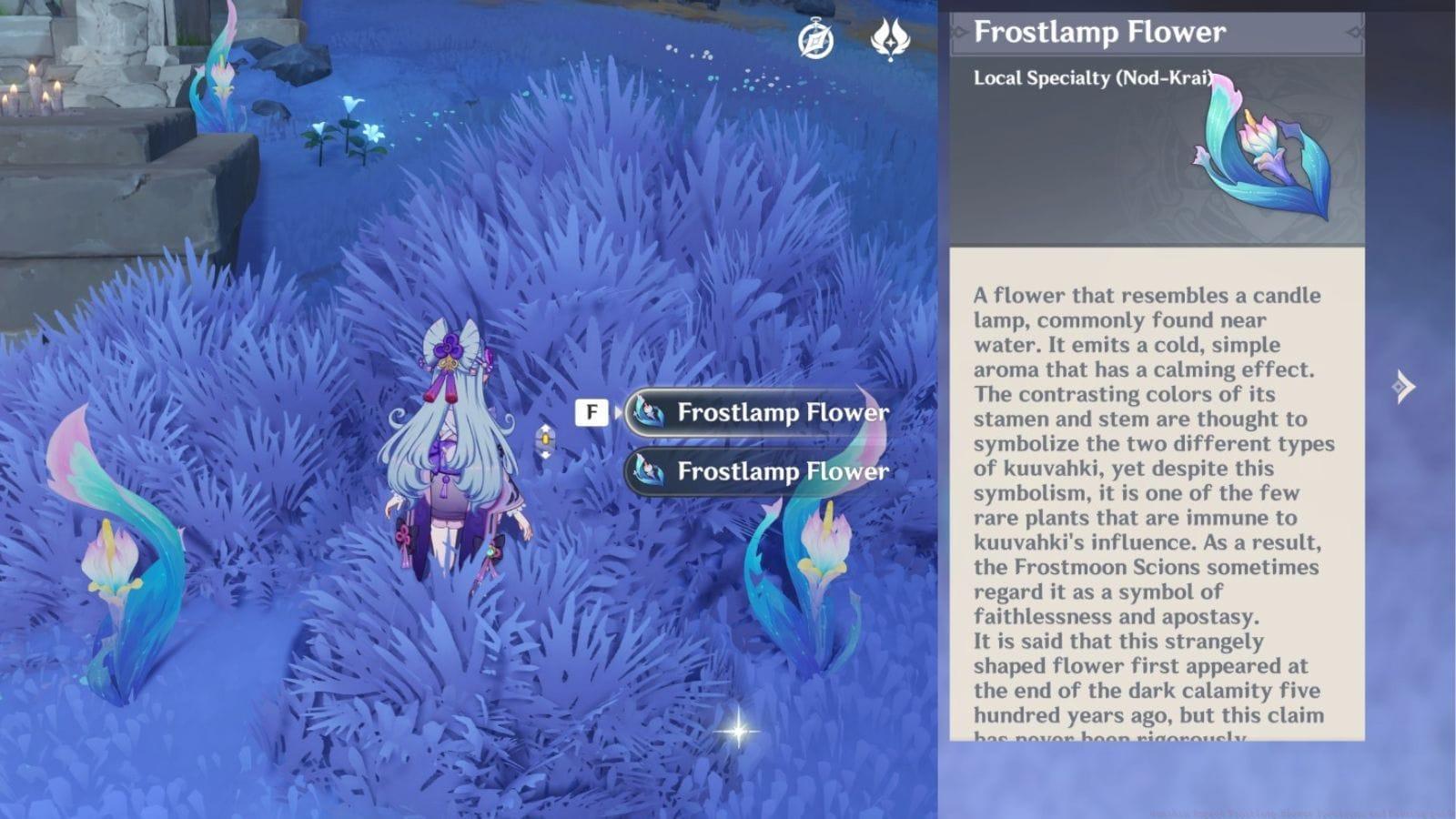 Frostlamp Flower locations and quick farming guide in Genshin Impact