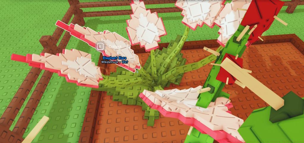 elephant ears in grow a garden