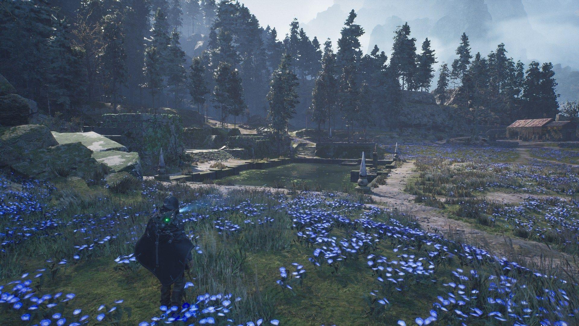 how to solve the Blue Flower Scroll puzzle of lake cynon in Hell is Us