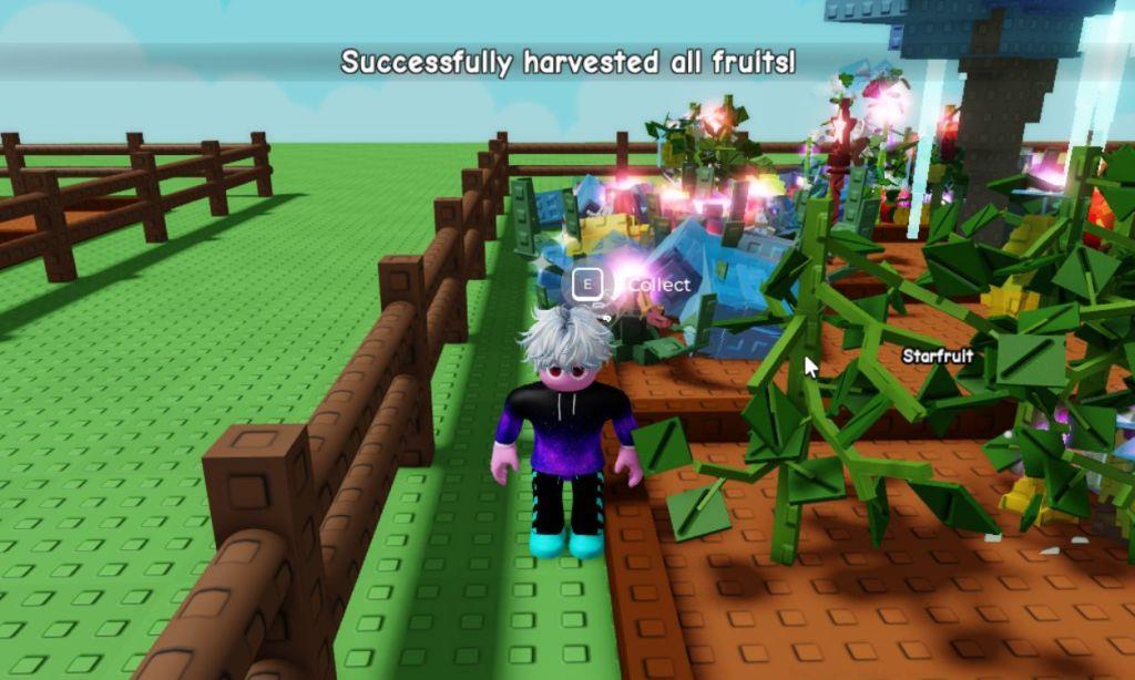 harvest tool collect fruits