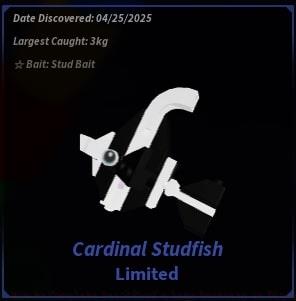 Cardinal Studfish