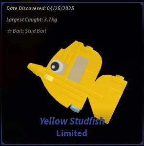 Yellow Studfish