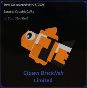 Clown Brickfish