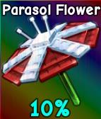 parasol flower grow a garden