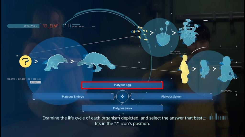 Rainy's quiz about Platypus in Death Stranding 2.