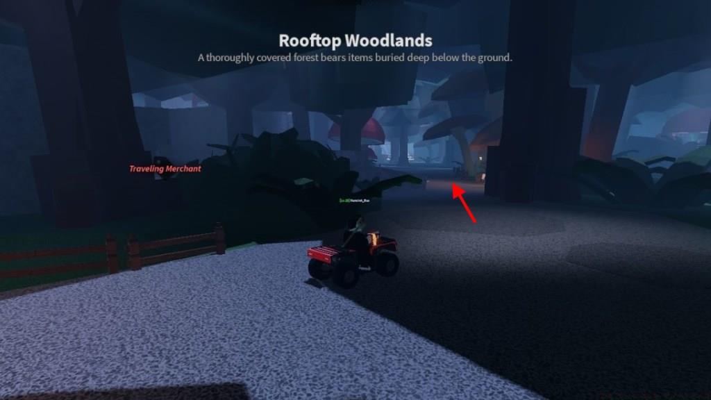 rooftop woodlands dig area