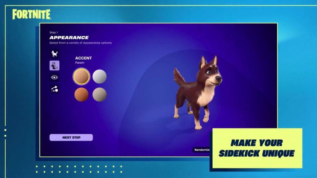 Fortnite Sidekick Customization Step